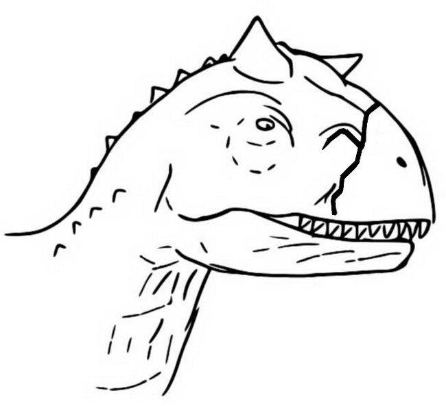 Coloriage Toro, Carnotaurus