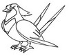 Coloring page Swellow