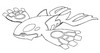 Coloring page Kyogre