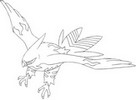 Coloring page Talonflame