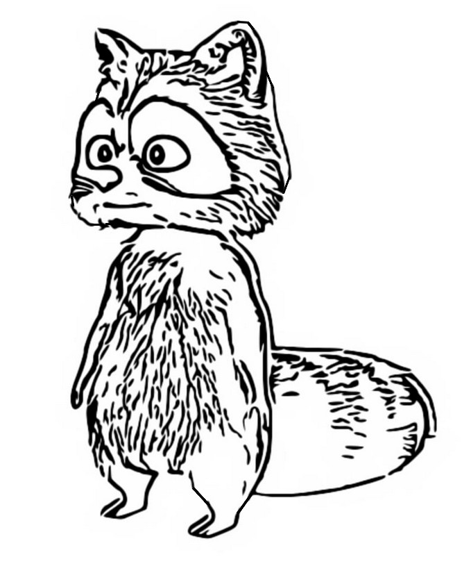 Coloring page The raccoon