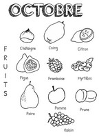 Coloriage à imprimer - Fruits d'octobre - Octobre