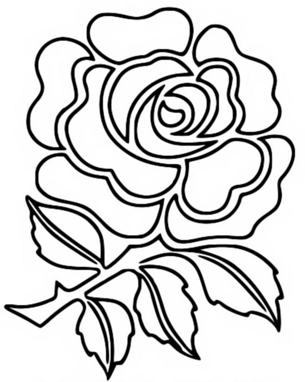 Coloring page Rugby World Cup 2023 : England team 95