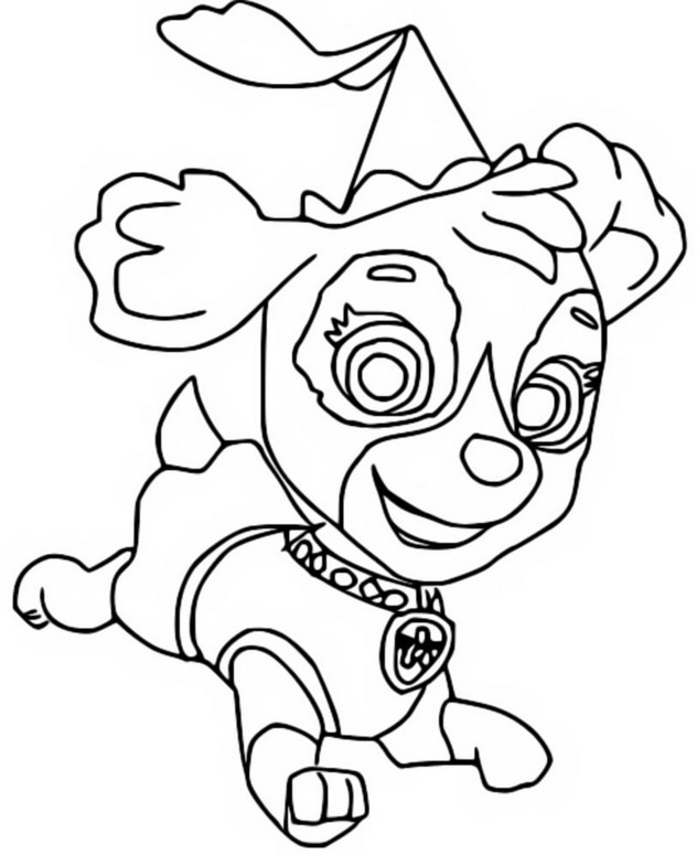 paw patrol coloring pages sky