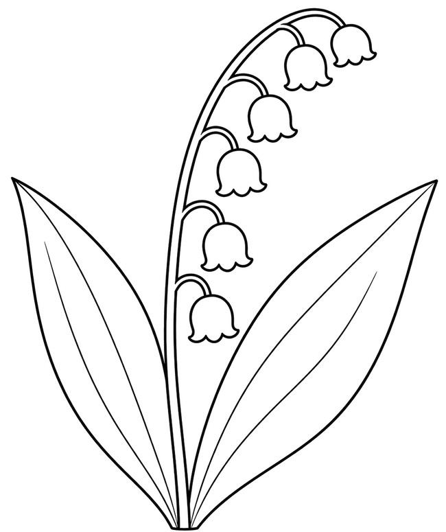 무료 색칠그림 - 은방울꽃 한 송이 - 5월 1일 은방울꽃