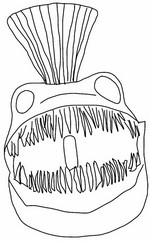Disegno da colorare - Monster fish - Zoonomaly