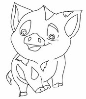 Ausmalbild - Pua - Vaiana 2