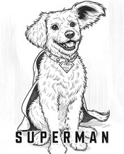Imagen para colorear - Krypto - Superman