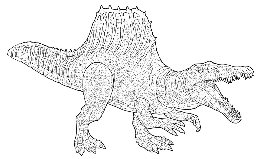 Dibujo para colorear Spinosaurus