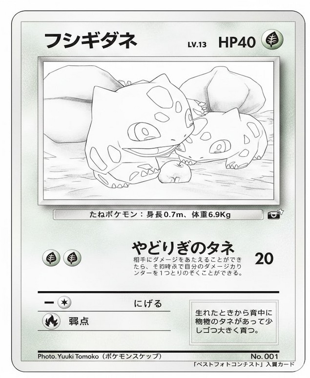 색칠공부 - Snap Bulbasaur - 가장 비싼 포켓몬 카드