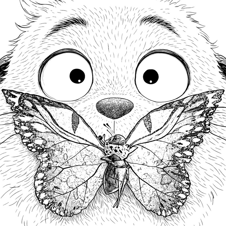 색칠용 종이 - 나비 - 호퍼스