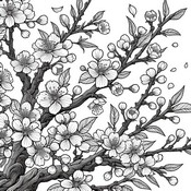Dibujo para imprimir - flor de cerezo - Primavera