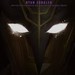 Eyes of Wakanda