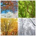 Coloring Pages Four seasons