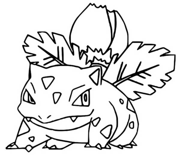 ivysaur drawing