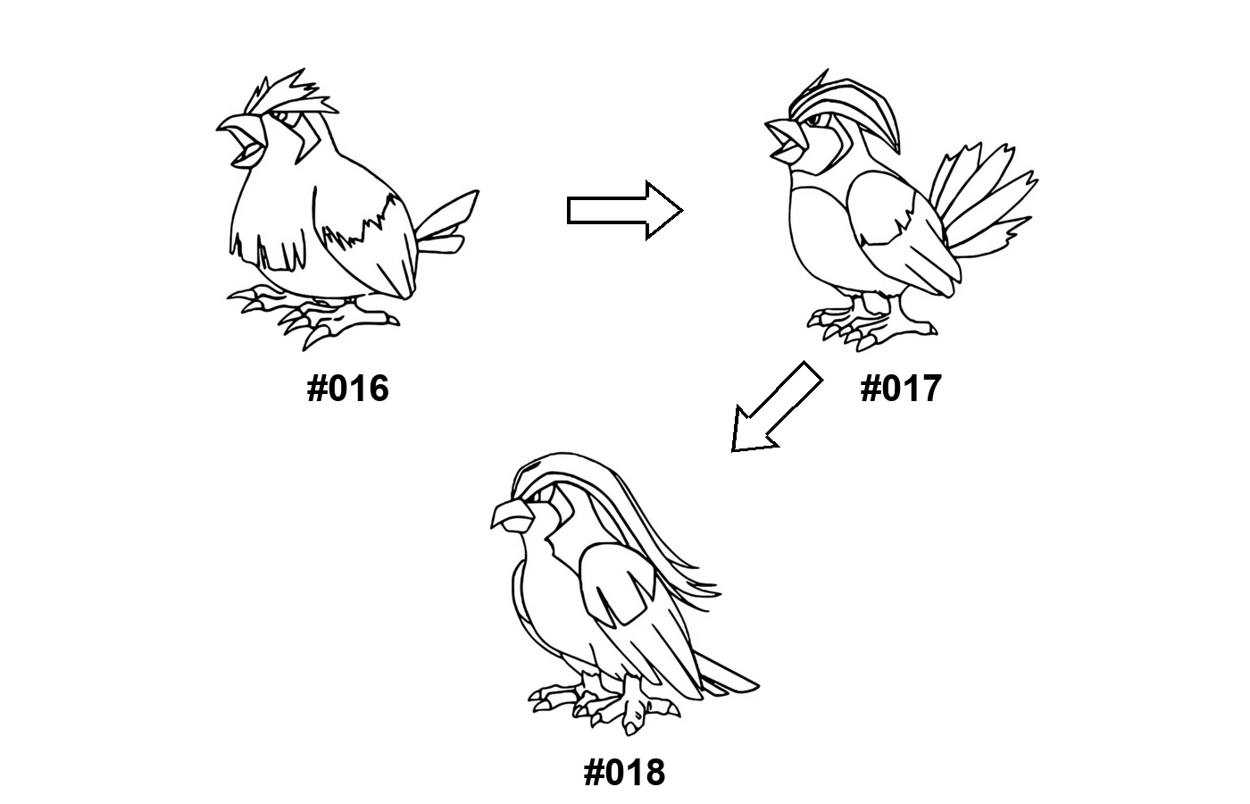 Pokémon evolution coloring page Pidgey