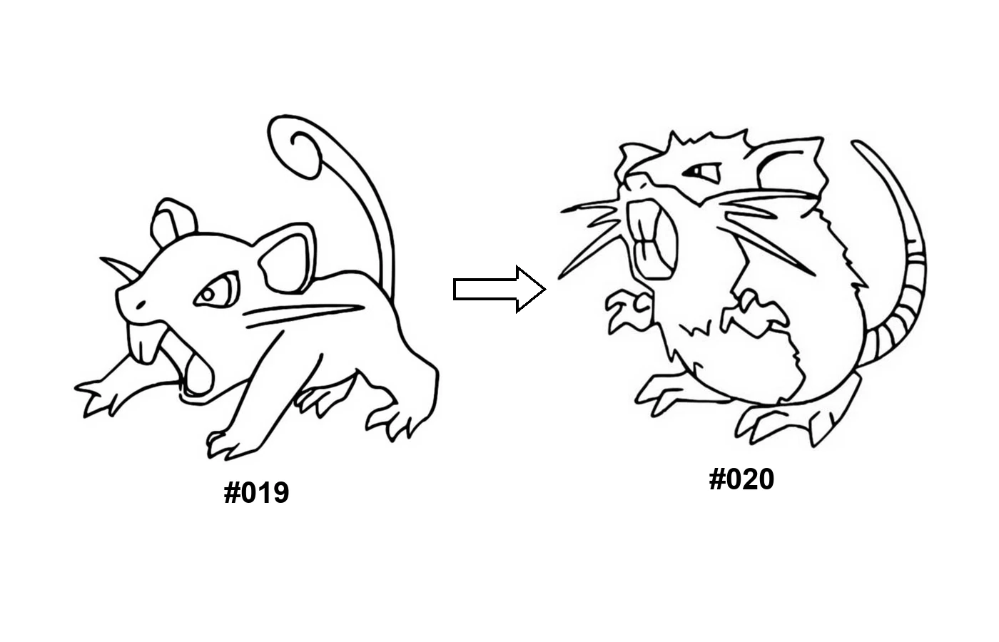 Pokémon evolution coloring page Rattata