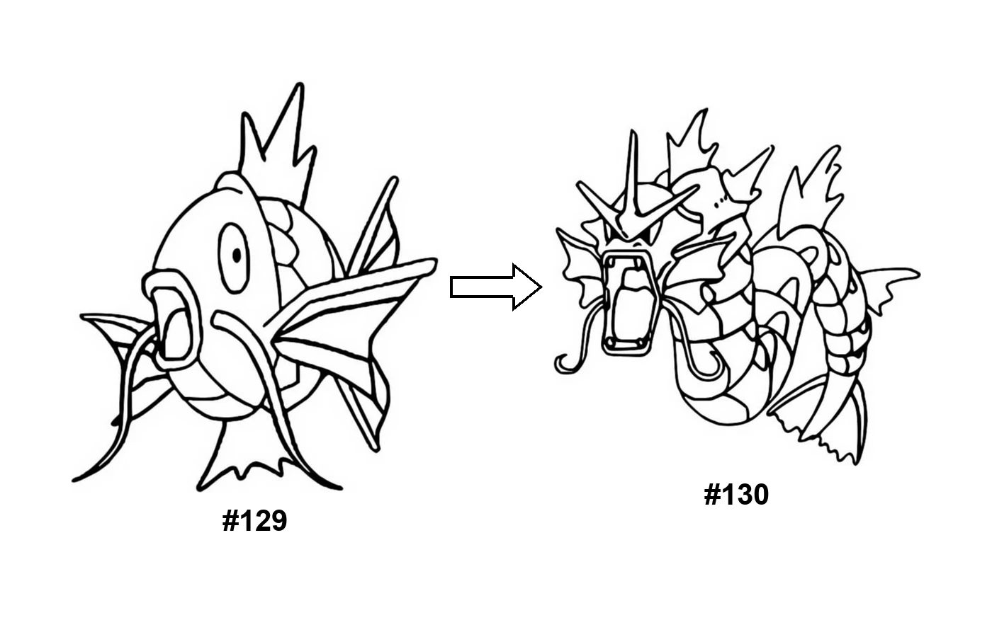 Pokémon evolution coloring page: Magikarp, Gyarados