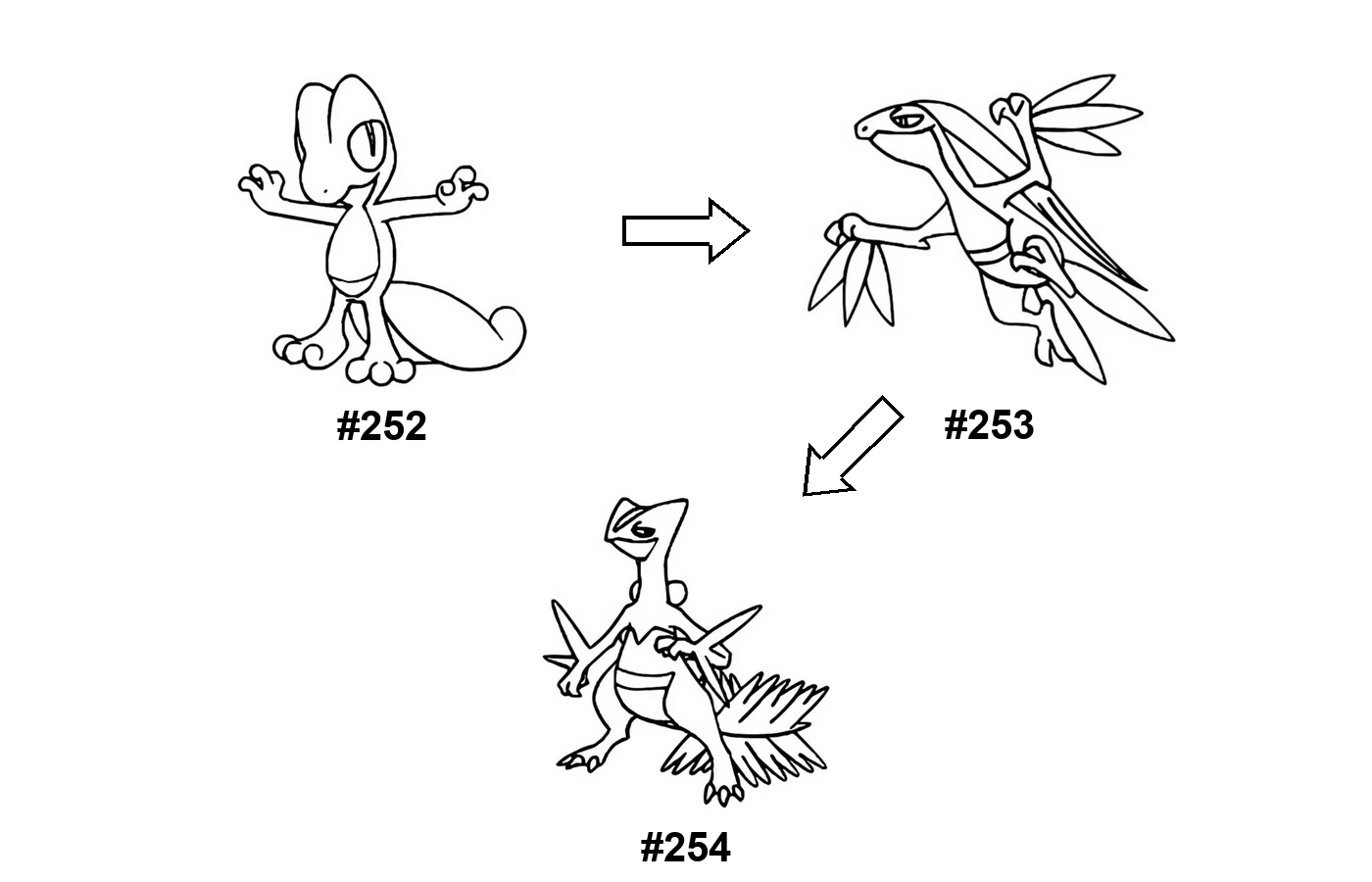 Pokémon evolution coloring page: Treecko, Grovyle, Sceptile