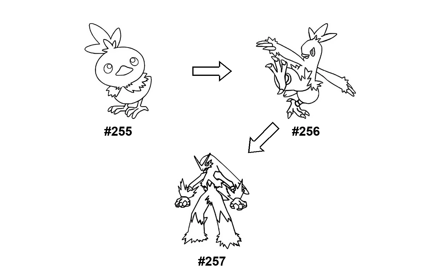 Pokémon evolution coloring page Torchic