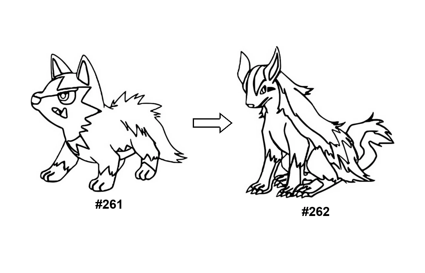 Pokémon evolution coloring page Poochyena