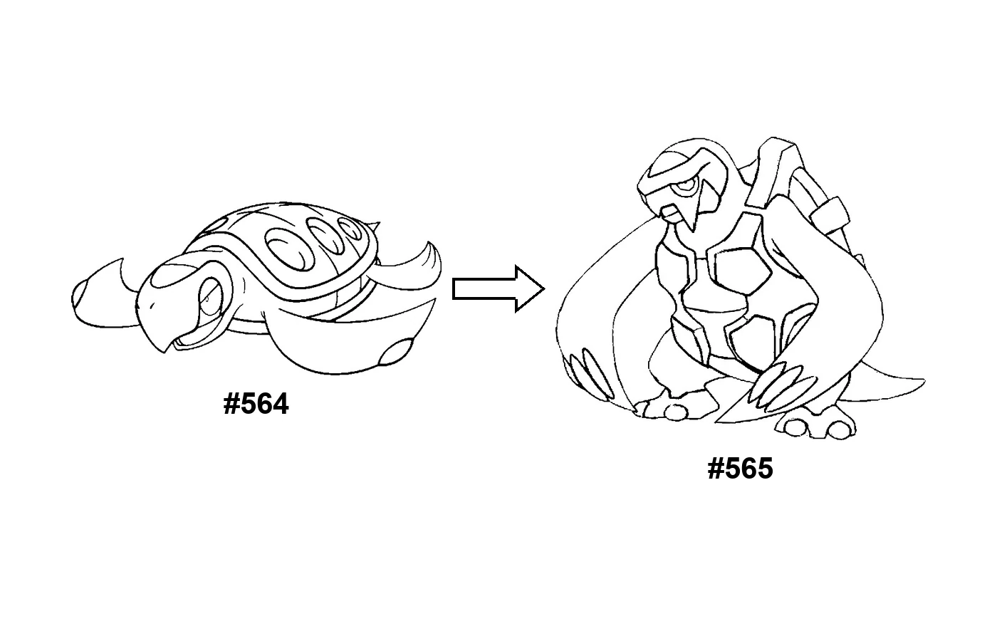 Pokémon evolution coloring page: Tirtouga, Carracosta
