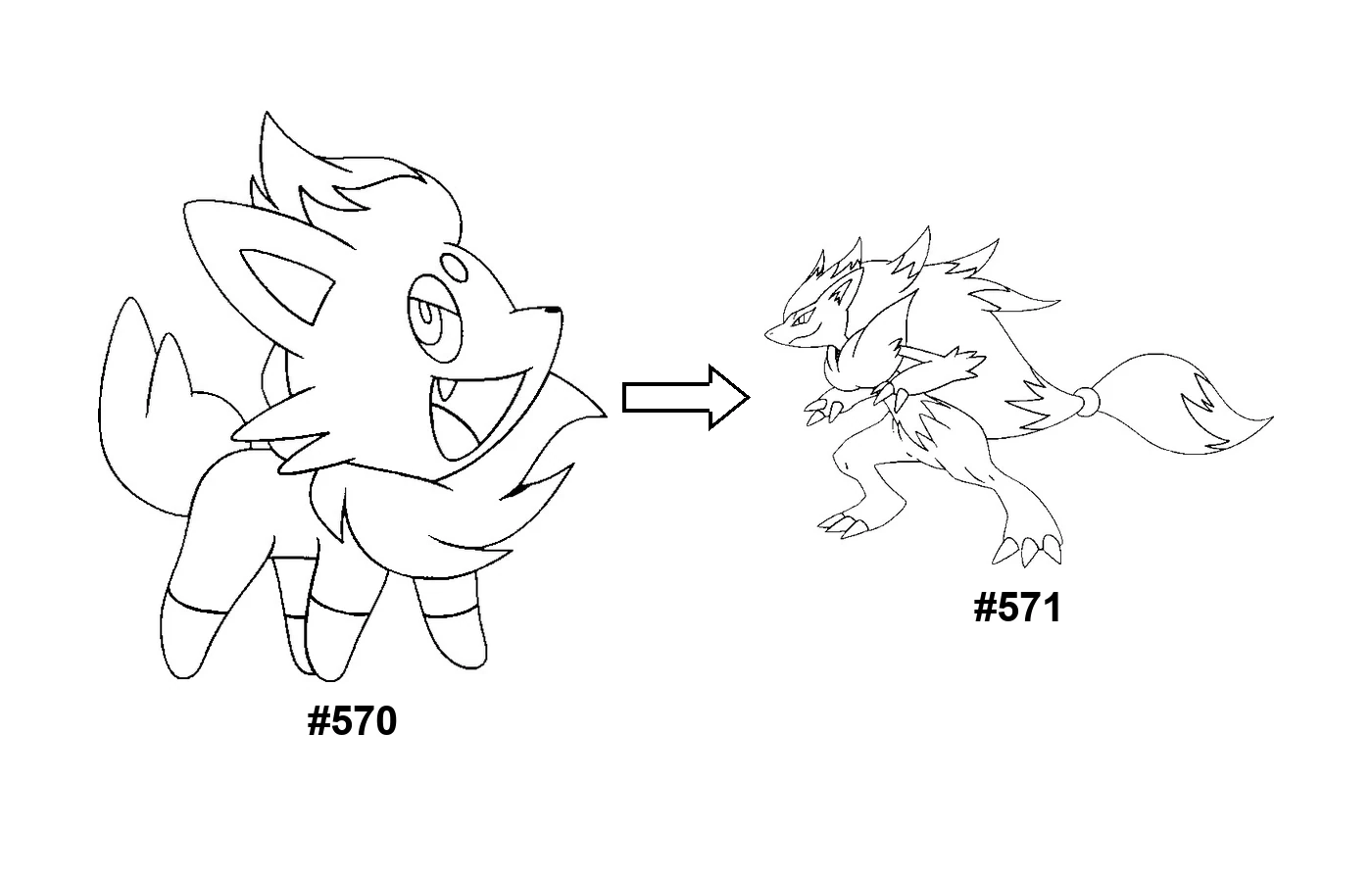 Pokémon evolution coloring page Zorua