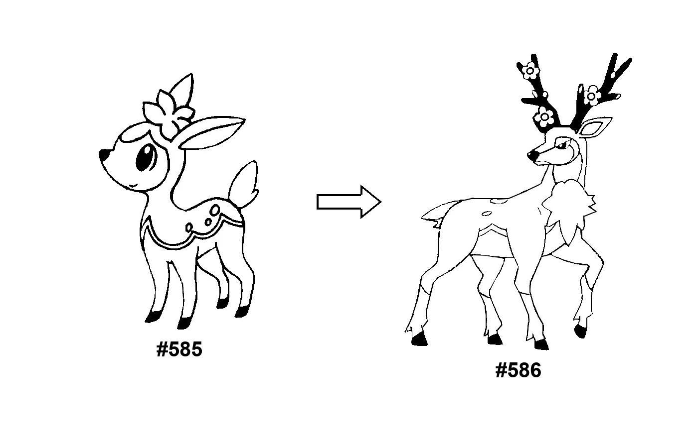 Pokémon evolution coloring page Deerling