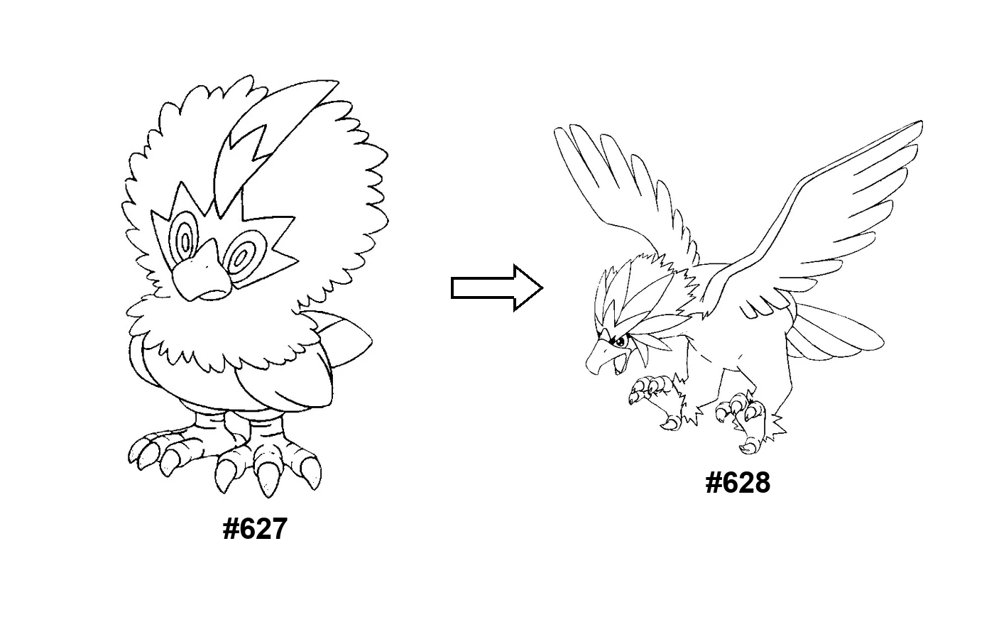 Pokémon evolution coloring page: Rufflet, Braviary