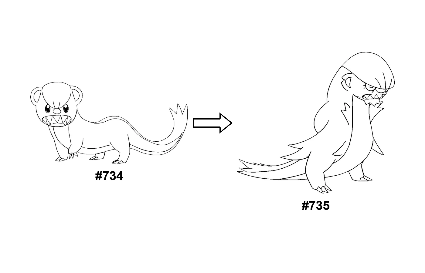 Pokémon evolution coloring page Yungoos